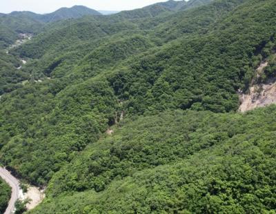 [르포]경주서 ‘산사태 100배 위력’ 땅밀림 발견···도로·마을 인접 ‘위험천만’