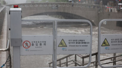 서울도 물폭탄…남산1호터널 앞 나무 쓰러지고 하천 전면통제