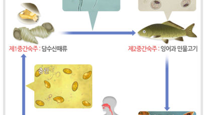 ‘암 유발’ 기생충 감염률 3.7%…자연산 민물고기 생식이 원인