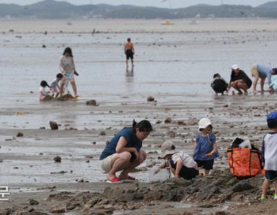 [포토뉴스] 더위도 잊고…갯벌 체험 삼매경