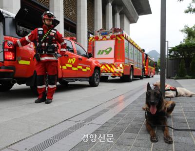 [정동길 옆 사진관] 지진에 대처하는 구조견의 자세