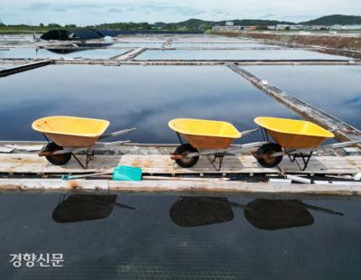 [금주의 B컷]깊고 맛있는 천일염, 짠맛은 빛과 땀과 ‘기다림’이 만든다