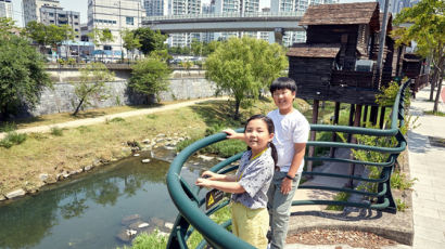 [아이랑GO] 서울 한복판에 백로가?…청계천서 생태계 공부해요