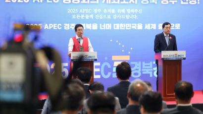 내년 APEC 손님맞이 나선 경주…문제는 '최고급 숙박시설' 왜