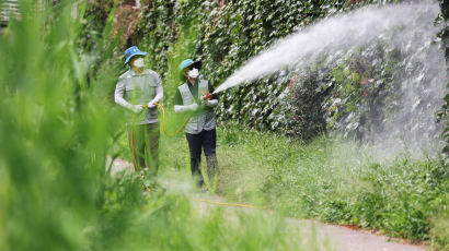 전국에 말라리아 경보…"모기 안 물리게 야간 야외활동 자제"