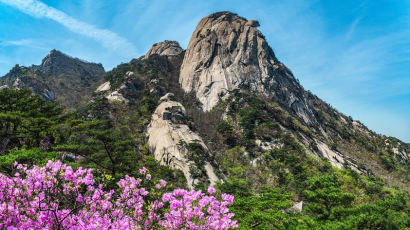 한국산악사진작가협회 창립 15주년 기념 '한국의 산'사진전 개최