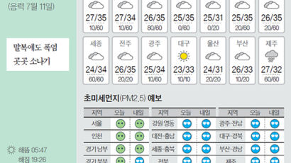 [오늘의 날씨] 8월 14일