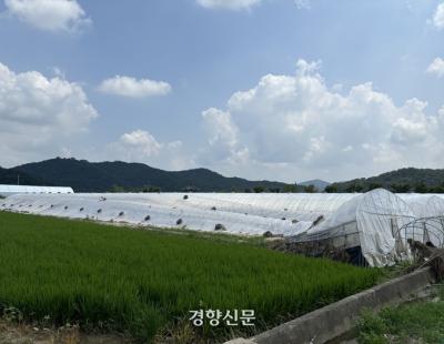 수해 후 한 달…정뱅이 마을서 확인한 재난 행정의 현주소