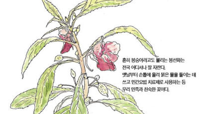 [소년중앙] 손대면 ‘톡’…나를 만지지 마세요