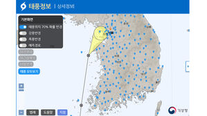 태풍 영향 부산 밤새 번개 · 강풍…나무 2그루 쓰러져