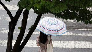 대전·세종·충남 흐리고 비…예상 강수량 30∼80㎜