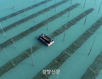 어가 16% 억대 소득, “어업 도전해 볼까”…‘전남 귀어학교’ 10명 중 4명 정착