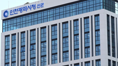 "돈 없다" 체납자, 상표권 압류하자 납부…인천시 7억원 징수