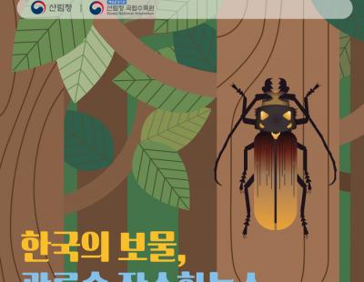 국립수목원 ‘장수하늘소 특별 전시회’ 개최···29일~9월 12일