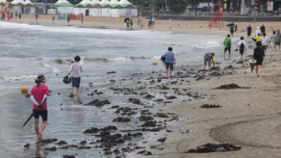 광안리해수욕장에 욱일기 들고 나온 남성…“또 나오겠다”