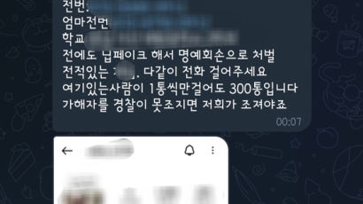 "이게 가해자 전화번호, 우리가 혼내자" 딥페이크 보복방 등장