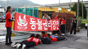 "닭 학살 반대" 도계장 막은 활동가들, 대법서 벌금형 확정