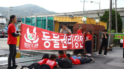 "닭 죽이지 마라" 도계장 앞 드러누운 활동가들 벌금형 확정