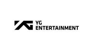 YG "아티스트 딥페이크, 형사절차 등 모든 법적 조치 진행"