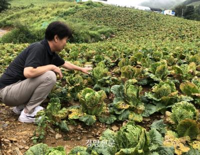 대파·양파·바나나 ‘닥치고 수입’…윤 정부의 엇나간 기후 인플레 대응