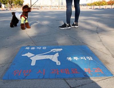 “강아지 목줄” 항의 무시, 상대는 영상 촬영···결국 폭행 시비로 유죄