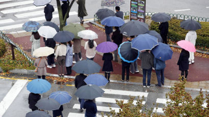 20만원짜리 우산 뭐길래…헌재까지 간 '우산 도둑 사건' 결말