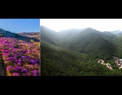 전남 여수의 영취산 흥국사 일대, 명승 된다