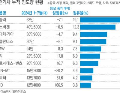 글로벌 전기차, 중국 없는 미국으로 ‘러시’