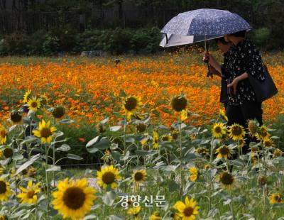 서울에 사상 첫 ‘9월 폭염경보’···역대 9월 중 가장 더웠다