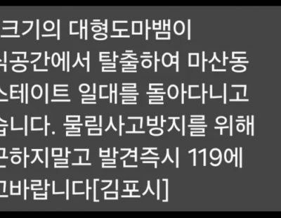 ‘1미터’ 대형 도마뱀 김포 주거단지 일대 출몰…안전문자 발송