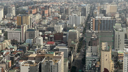 "선출직 증가로 막대한 비용 필요"...제주, 시장 직선제 부활 추진 논란