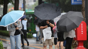 '시간당 최고 75㎜' 광주·전남 피해 신고 잇따라…인명피해는 없어