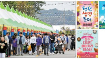 [가을축제 오감만족] 청원생명부터 초정약수 축제까지 … '꿀잼'이 쏟아집니다