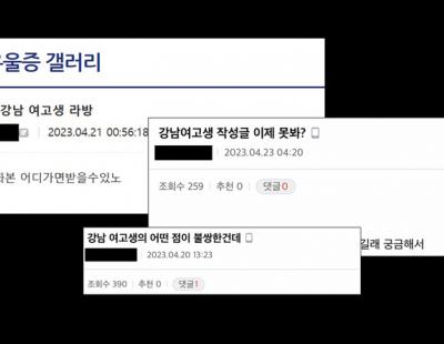 미성년 성범죄 발생 ‘우울증갤러리’ 2주 뒤 폐쇄 여부 결정 난다