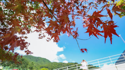 설악산 10월 22일, 내장산 10월 27일 단풍 절정… 산림청 "더위로 늦어져"