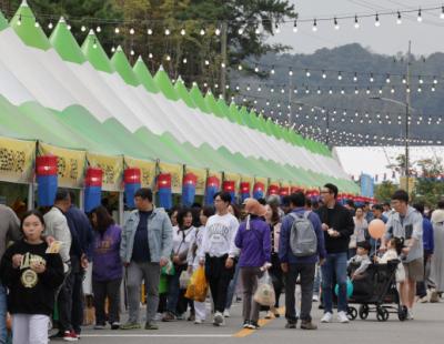 초정약수 체험·낙화놀이…‘꿀잼 축제’ 청주로 오세요