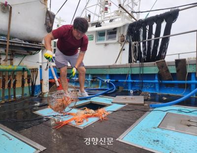 “황금어장인데 석유가 난다니”…생계터전 잃을까 근심 가득한 홍게잡이 어민들