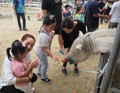 완주 ‘와푸 축제’, 자연에서 뛰놀고 친환경 맛본다