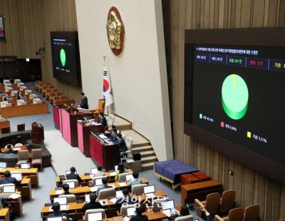 딥페이크 처벌 강화법 ‘알면서’ 해프닝, 뭐가 문제였나?