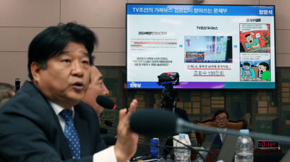 '사기 대출' 양문석 배우자 "20만원 줄테니 서류 꾸며 달라"