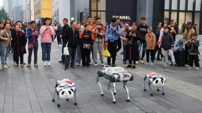 [Biz-inside,China] 로봇개 세마리의 점프쇼! 中 관광지에서 펼쳐진 과학기술의 향연