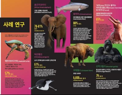 지구 야생동물 규모 73% 감소, 앞으로 5년이 지구 모든 생명체 운명 결정한다