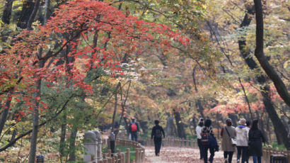 단풍 보러 산 올랐다가 '으악'…설악산·북한산보다 위험한 이곳