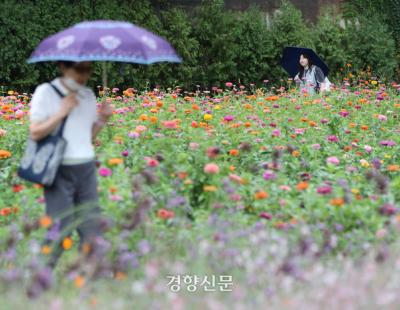 [날씨]가을비에 기온 뚝···전국 대부분 비바람