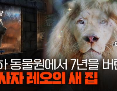 &#129409;실내동물원에서 구조된 동물들은 어떻게 살고 있을까?