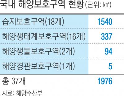 이제 ‘막 잡으면’ 안 돼요…정부, 해양보호구역 내 일반인 ‘해루질’ 금지 추진