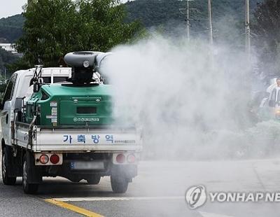 충남 당진 한우 사육 농장서 럼피스킨 발생