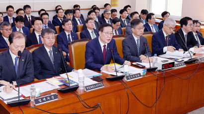 국정감사 막판까지 김건희 공방…압수영장 사전심문제도 논쟁