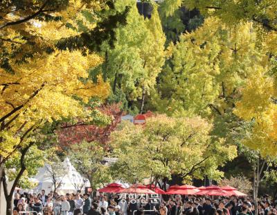 ‘가을 물드는 정동길을 즐겨요’…제26회 정동문화축제